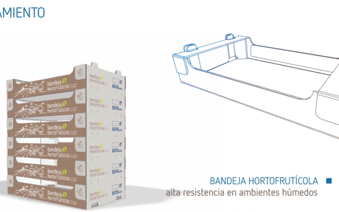 Bandejas hortofrtícolas de cartón ondulado